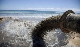 排放核废水最新爆料消息,真相与争议并存